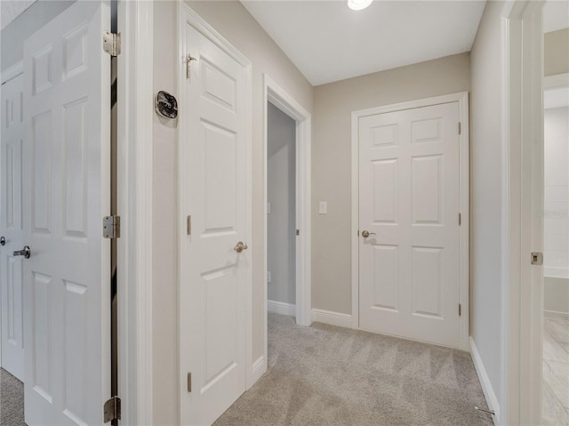 14825 Paddock Pond Ave, Lithia, FL 33547 - photo 40