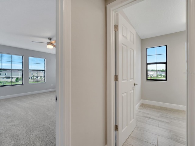 14825 Paddock Pond Ave, Lithia, FL 33547 - photo 43