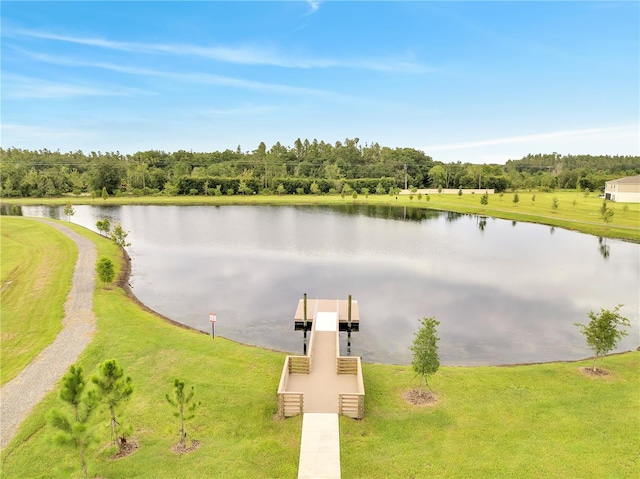 14825 Paddock Pond Ave, Lithia, FL 33547 - photo 54