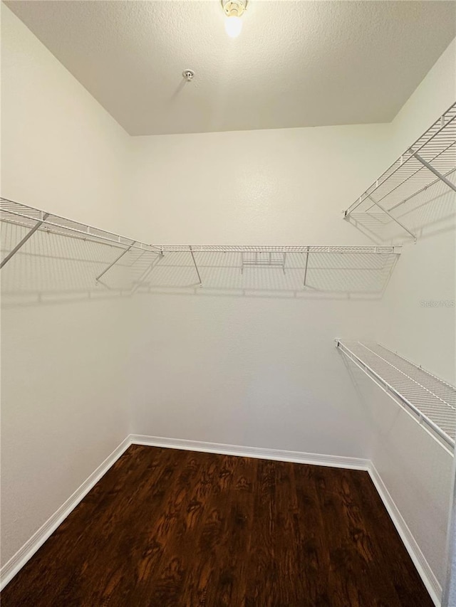 6153 Metrowest Blvd Unit 205, Orlando, FL 32835 - walk in closet with dark wood-style flooring
