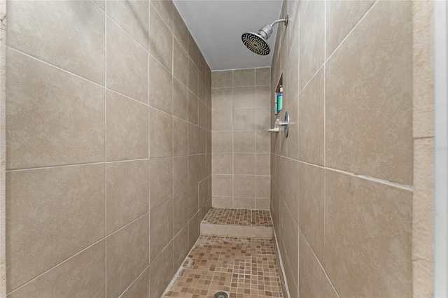2666 Capp Cir, Kissimmee, FL 34744 - bathroom with a tile shower
