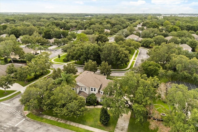 2700 Tree Meadow Loop, Apopka, FL 32712 - bird's eye view