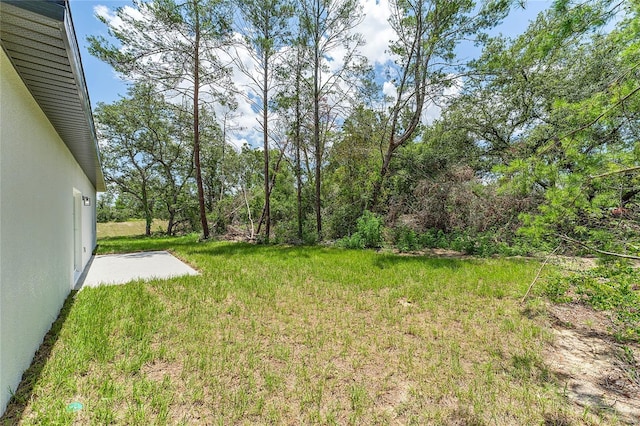 16852 SW 41st Avenue Rd, Ocala, FL 34473 - photo 29
