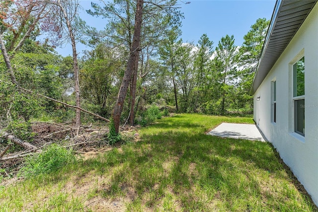 16852 SW 41st Avenue Rd, Ocala, FL 34473 - photo 30