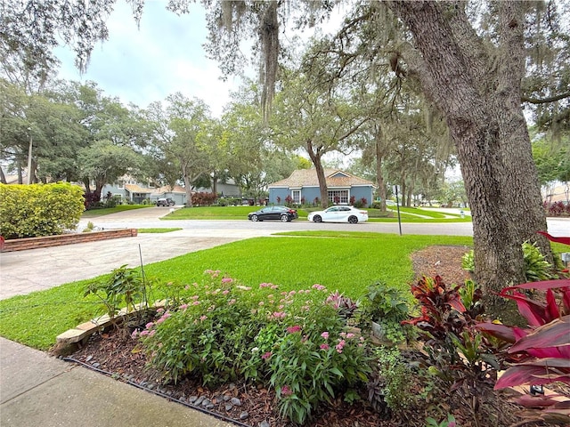 4478 Oak Arbor Cir, Orlando, FL 32808 - photo 2