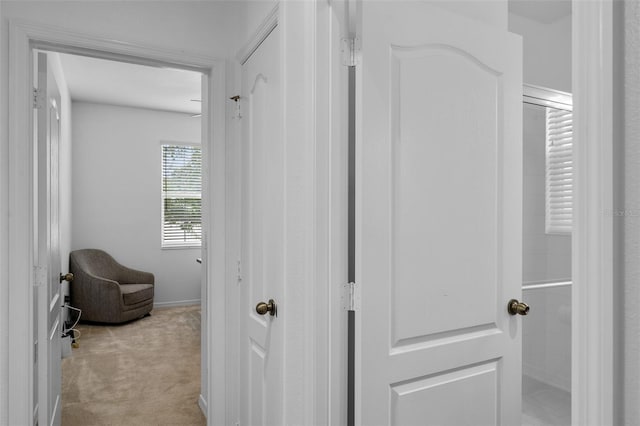 17242 Hickory Wind Dr, Clermont, FL 34711 - hallway featuring carpet floors