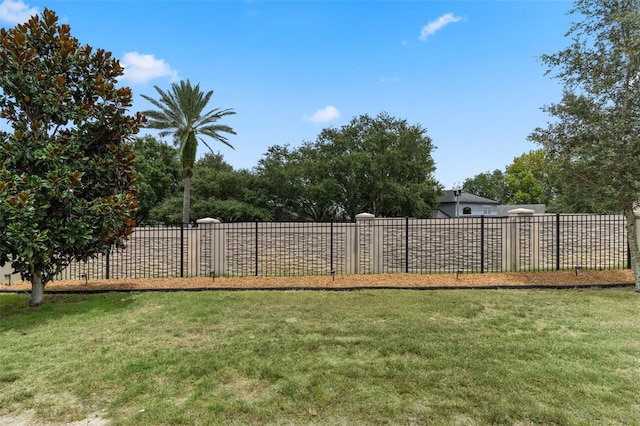 17242 Hickory Wind Dr, Clermont, FL 34711 - view of yard