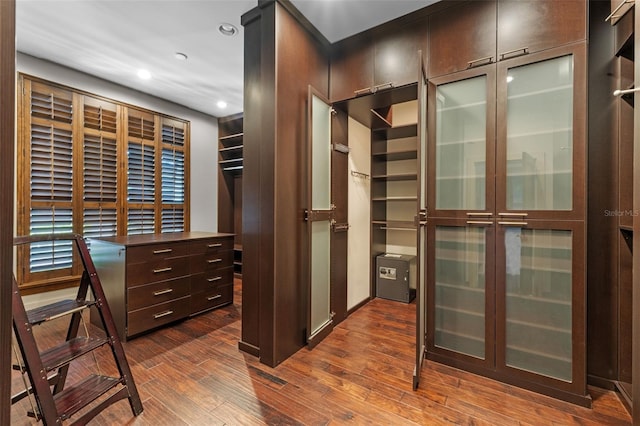 10545 Down Lakeview Cir, Windermere, FL 34786 - spacious closet with dark wood-type flooring
