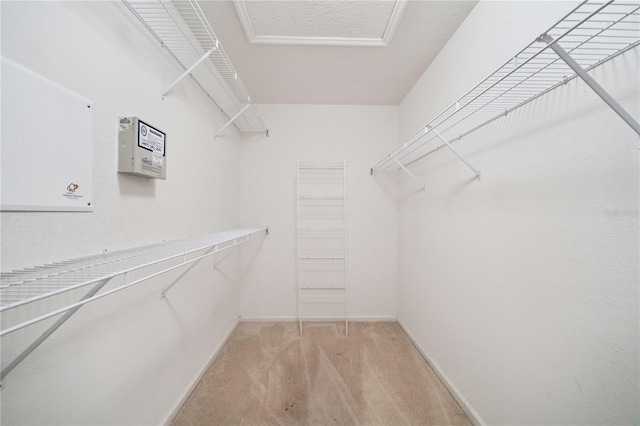 1762 Laurel Brook Loop, Casselberry, FL 32707 - walk in closet with light carpet