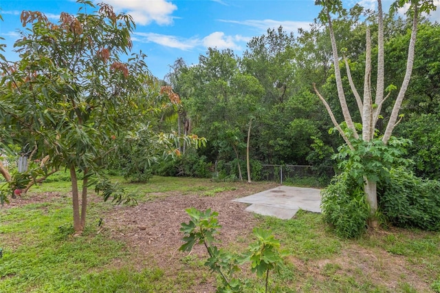 109 2nd Jpv St, Winter Haven, FL 33880 - photo 14