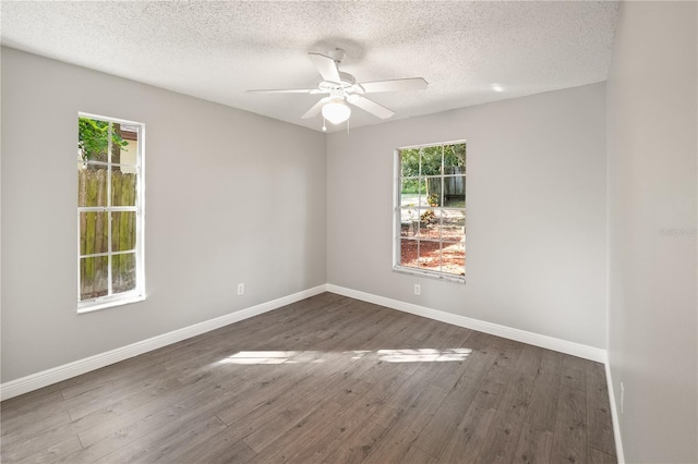 2730 Langstaff Dr, Palm Harbor, FL 34684 - photo 17