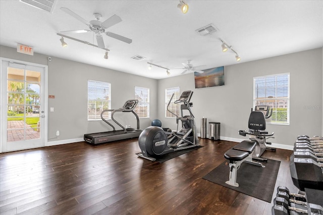 516 Brunello Dr, Davenport, FL 33897 - exercise area with rail lighting, a ceiling fan, hardwood / wood-style flooring, and healthy amount of natural light