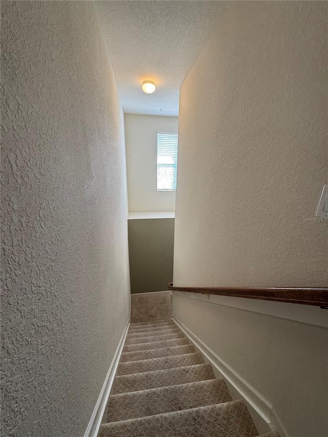 3069 Ashland Ln N, Kissimmee, FL 34741 - stairs with a textured wall, carpet flooring, and a textured ceiling