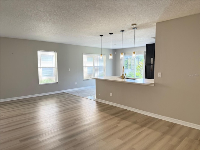 633 Flower Fields Ln, Orlando, FL 32824 - empty room featuring light wood-type flooring and a textured ceiling