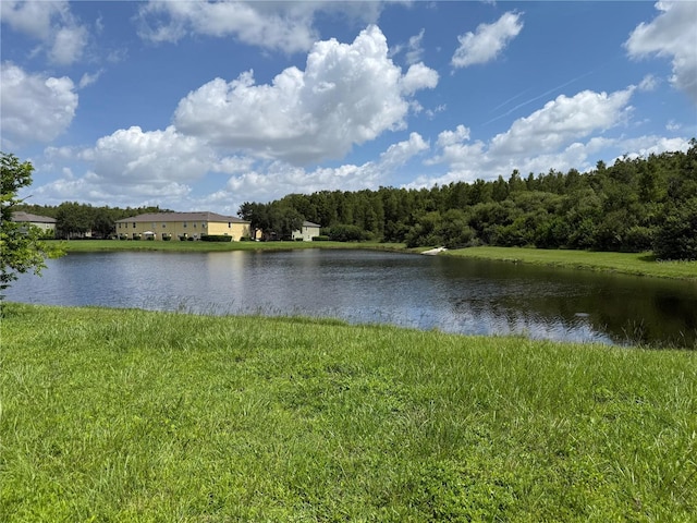 633 Flower Fields Ln, Orlando, FL 32824 - water view with a forest