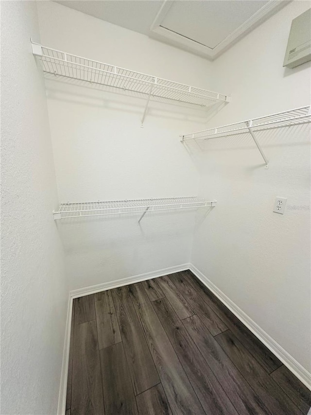 6328 Raleigh St Unit 816, Orlando, FL 32835 - spacious closet featuring dark wood finished floors and attic access