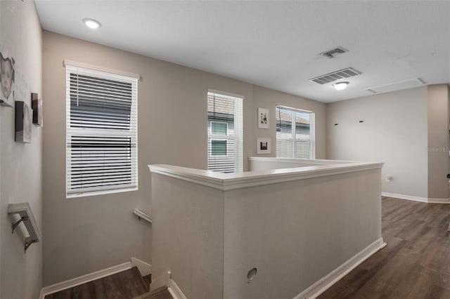 14954 Guava Bay Dr, Winter Garden, FL 34787 - photo 31