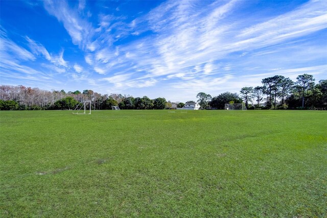 12840 Catfish Ct, Orlando, FL 32828 - photo 48