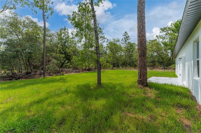 9312 N Akola Way, Citrus Springs, FL 34434 - view of grassy yard