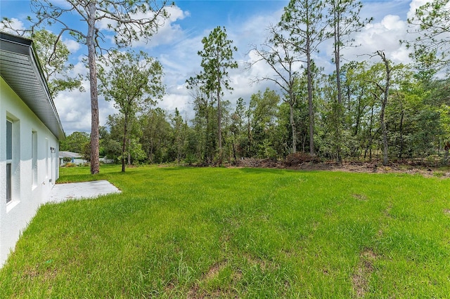 9312 N Akola Way, Citrus Springs, FL 34434 - view of green lawn