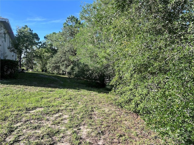 2515 E Hampshire St, Inverness, FL 34453 - photo 6
