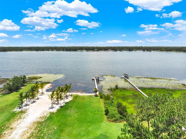 33947 E Lake Joanna Dr, Eustis, FL 32736 - photo 58