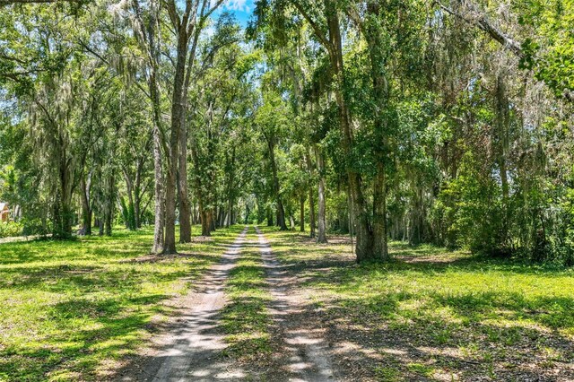 33947 E Lake Joanna Dr, Eustis, FL 32736 - photo 60