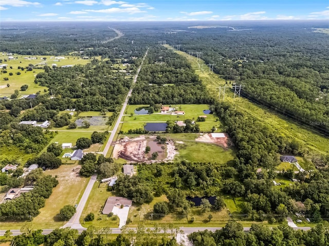 1200 Lake Harney Rd, Geneva, FL 32732 - photo 41