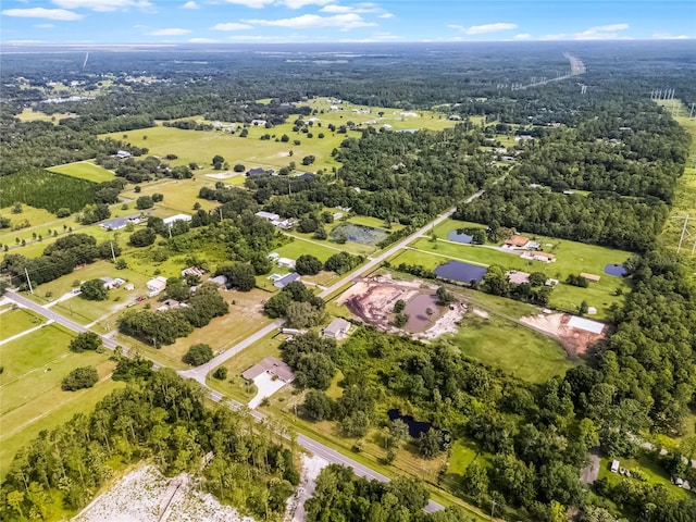 1200 Lake Harney Rd, Geneva, FL 32732 - photo 42