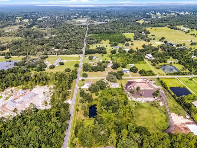 1200 Lake Harney Rd, Geneva, FL 32732 - photo 43
