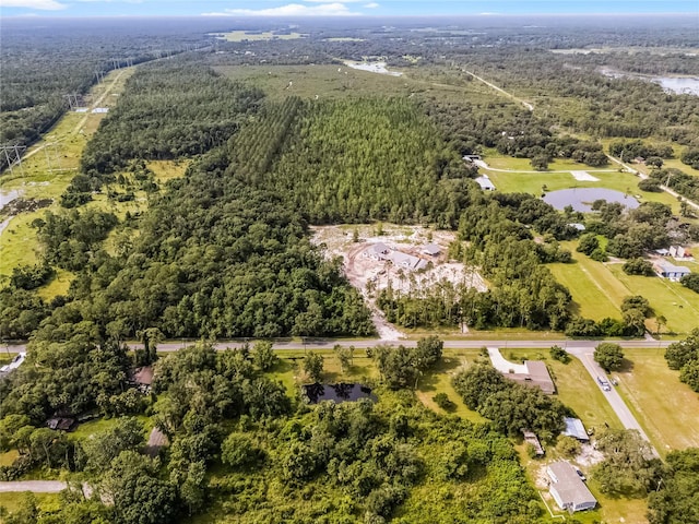 1200 Lake Harney Rd, Geneva, FL 32732 - photo 45