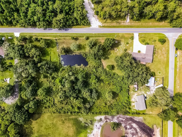 1200 Lake Harney Rd, Geneva, FL 32732 - photo 46