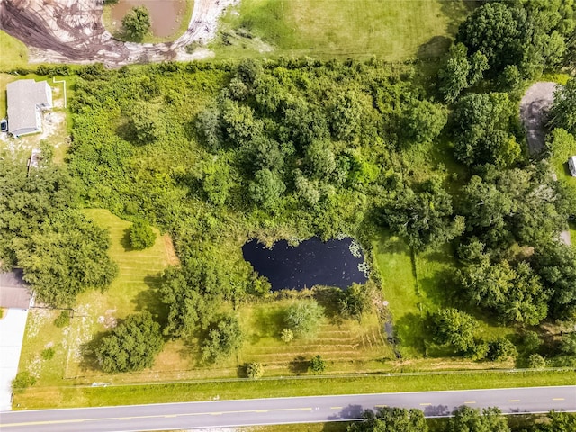 1200 Lake Harney Rd, Geneva, FL 32732 - photo 47