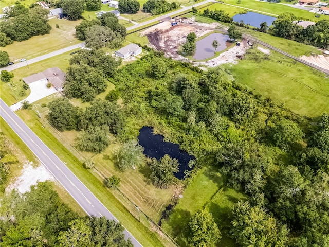 1200 Lake Harney Rd, Geneva, FL 32732 - photo 48