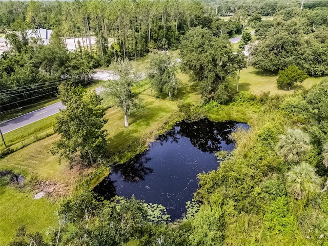 1200 Lake Harney Rd, Geneva, FL 32732 - photo 55