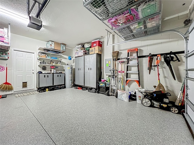 1808 Regal River Cir, Ocoee, FL 34761 - garage featuring a garage door opener, electric panel, and water heater