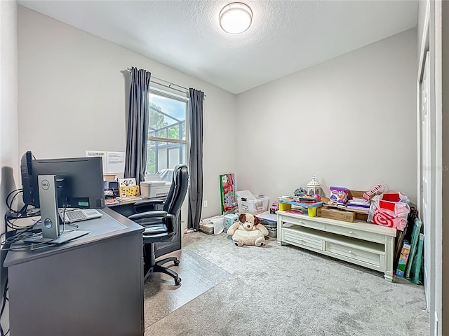 1808 Regal River Cir, Ocoee, FL 34761 - home office with a textured ceiling and carpet floors
