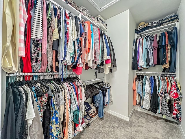 1808 Regal River Cir, Ocoee, FL 34761 - spacious closet featuring carpet and attic access
