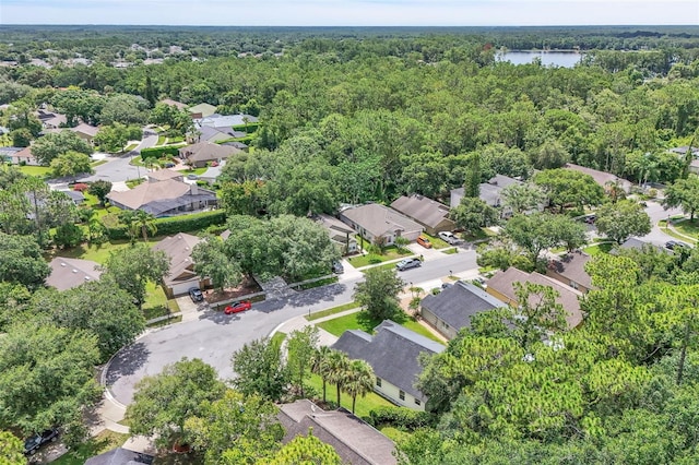 4454 King Edward Dr, Orlando, FL 32826 - photo 48