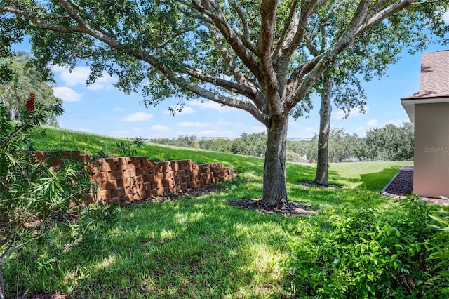 2495 Squaw Crk, Clermont, FL 34711 - view of green lawn