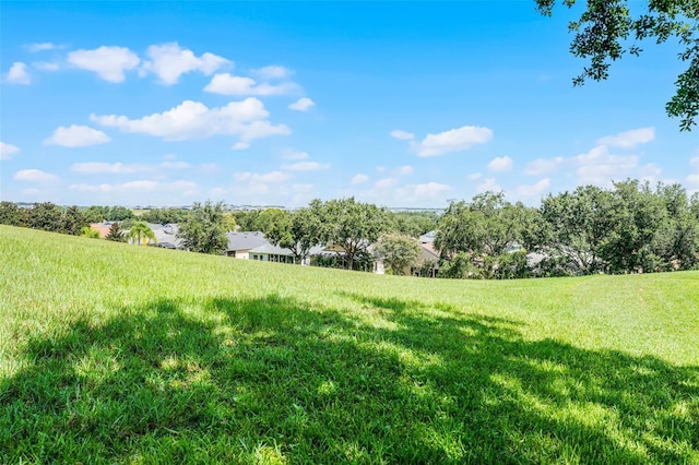 2495 Squaw Crk, Clermont, FL 34711 - view of grassy yard