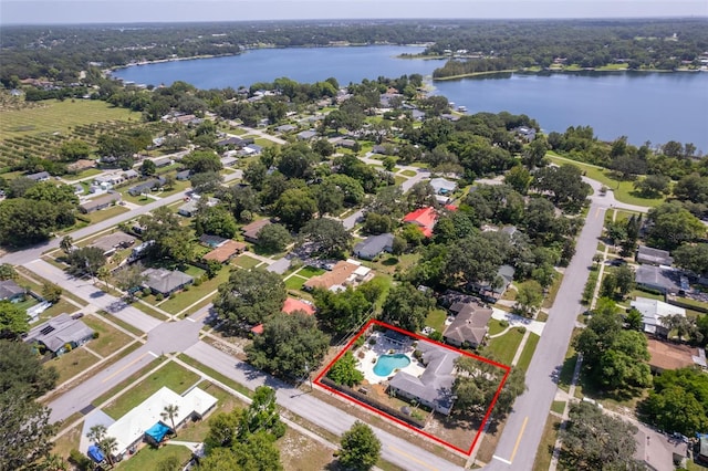 2187 Palmetto Rd, Mount Dora, FL 32757 - photo 8
