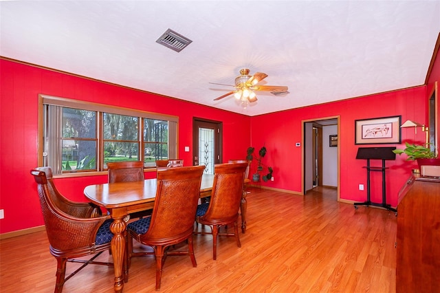 2187 Palmetto Rd, Mount Dora, FL 32757 - photo 11