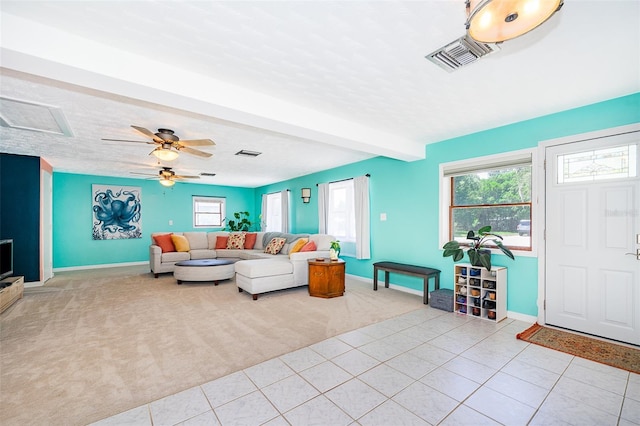 2187 Palmetto Rd, Mount Dora, FL 32757 - photo 13