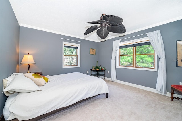 2187 Palmetto Rd, Mount Dora, FL 32757 - photo 26