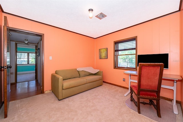 2187 Palmetto Rd, Mount Dora, FL 32757 - photo 28