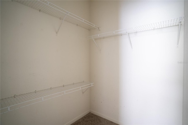 13037 Mulberry Park Dr Unit 5211, Orlando, FL 32821 - walk in closet featuring carpet flooring