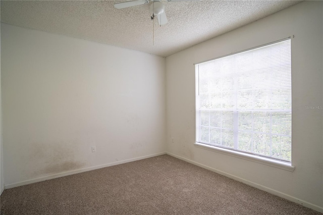 13037 Mulberry Park Dr Unit 5211, Orlando, FL 32821 - carpeted spare room with a textured ceiling and a ceiling fan