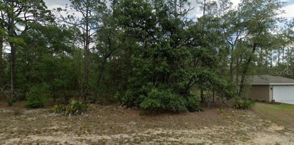 6299 N Allston Ter N, Dunnellon, FL 34433 - photo 1