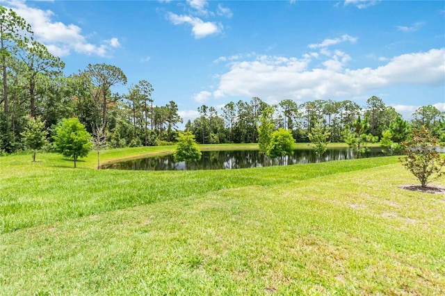 16400 Winding Preserve Cir, Clermont, FL 34714 - view of grassy yard with a water view
